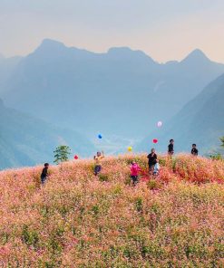 Jasmine Ha Giang loop 4 days 3 nights tour - Homestay - Image 1