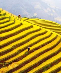 Lotus Ha Giang loop 3 days 2 nights tour - Homestay - Image 6