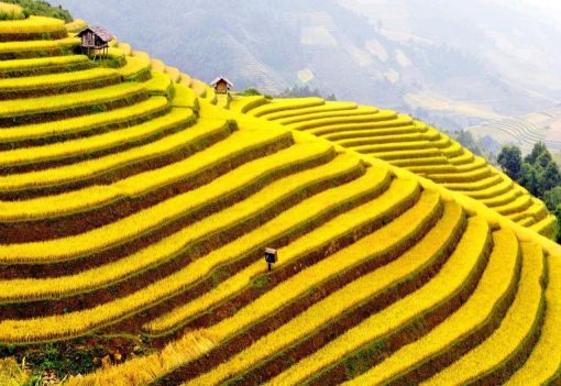Lotus Ha Giang loop 3 days 2 nights tour - Homestay