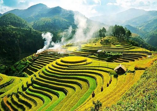 Lan's Mu Cang Chai - Golden Terrace Field 2 nights 1 day