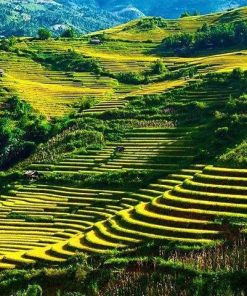 Lan's Mu Cang Chai - Golden terrace field 3 nights 2 days - Image 2
