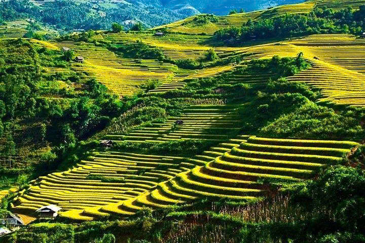 Lan's Mu Cang Chai - Golden terrace field 3 nights 2 days