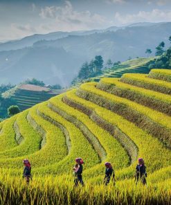 Lan's Mu Cang Chai - Golden Terrace Field 2 nights 1 day - Image 4