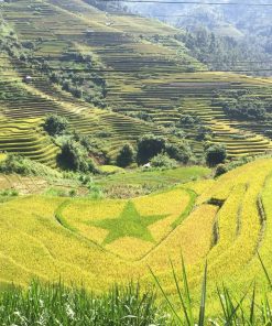 Lan's Mu Cang Chai - Golden Terrace Field 2 nights 1 day - Image 3