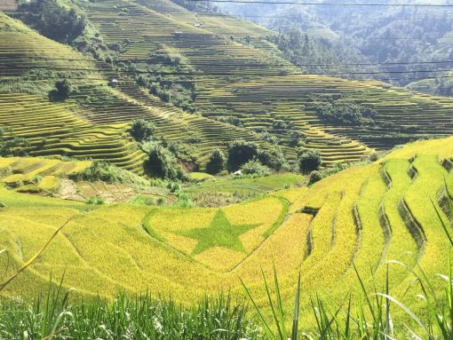 Lan's Mu Cang Chai - Golden Terrace Field 2 nights 1 day