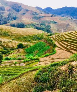Lan's Mu Cang Chai - Golden Terrace Field 2 nights 1 day - Image 2