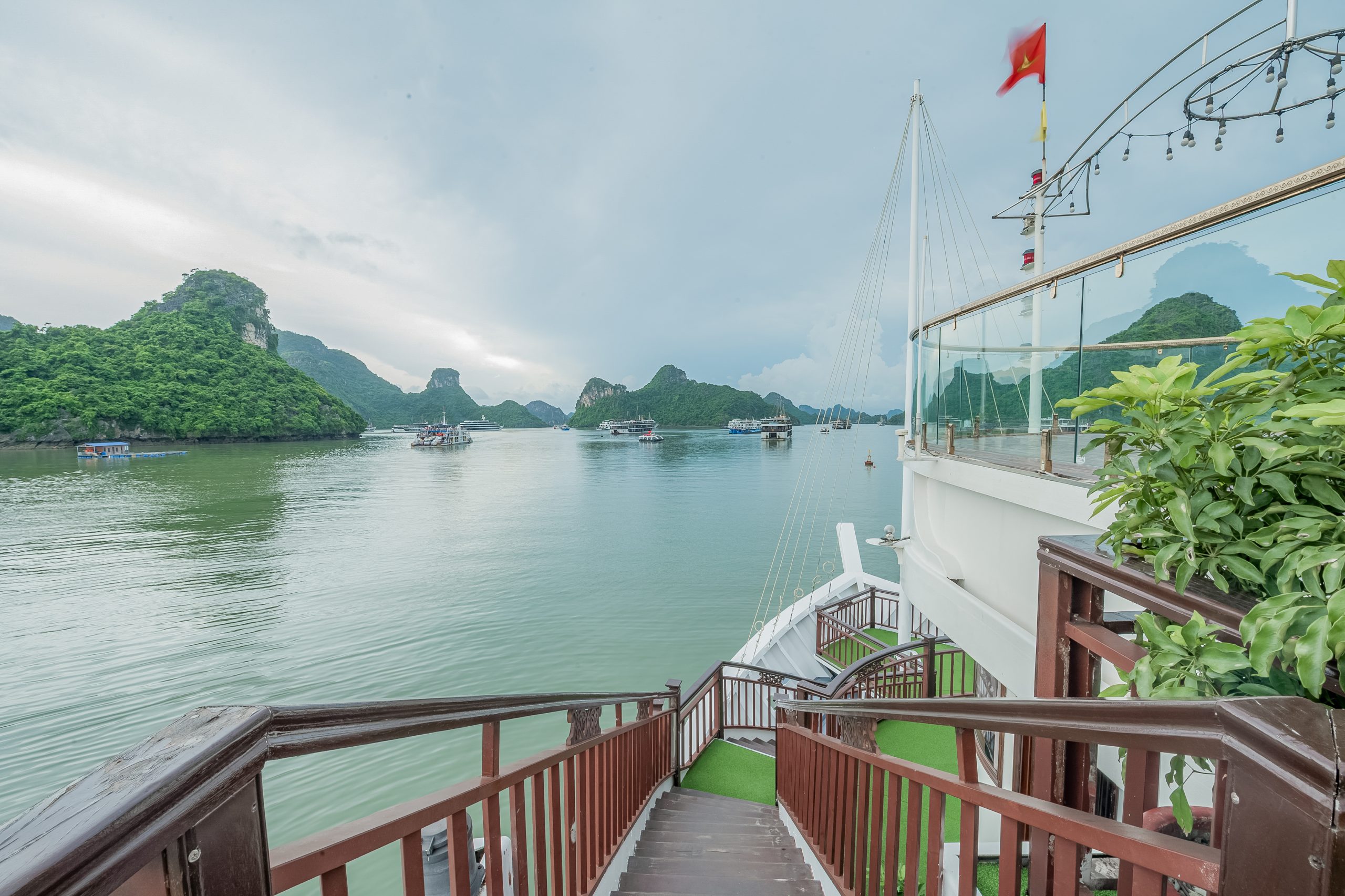 Calypso Cruises Hạ Long (3N2Đ)