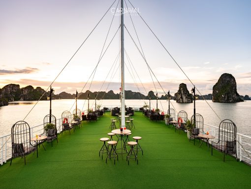 Carnival Cruise Hạ Long tàu ngày (7 tiếng)