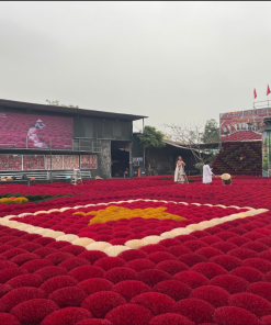 Excursion Trải Nghiệm Hà Nội (1Ngày) - Image 3