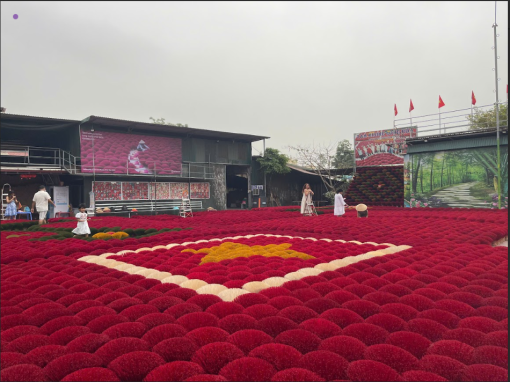 Excursion Trải Nghiệm Hà Nội (1Ngày)