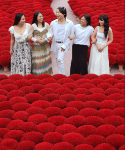 Excursion Trải Nghiệm Hà Nội (1Ngày) - Image 2