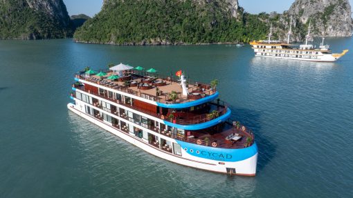 Cycad Cruise 6* Hạ Long (2N1Đ)