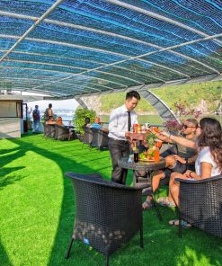 Gat  Alova Premium Thăm Vịnh Hạ Long (6 tiếng) - Image 4