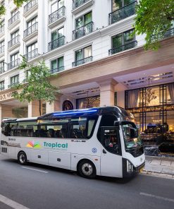 Cozy Hoa Lư Tam Cốc Ninh Bình (1Day) - Image 1