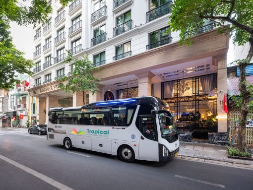 Cozy Hoa Lư Tam Cốc Ninh Bình (1Day)