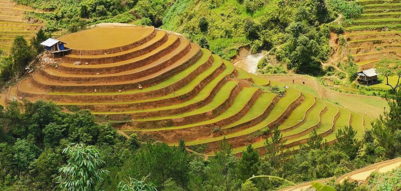 Mù Căng Chải Tour (2N3Đ) - Image 6