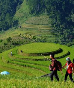 Mù Căng Chải Tour (2N3Đ) - Image 1