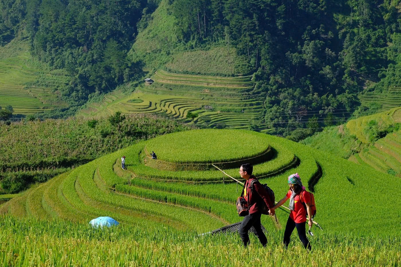 Mù Căng Chải Tour (2N3Đ)