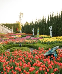 Bà Nà Hills (1N) - Image 2