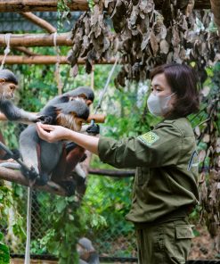 Gat Tour Hàng Ngày Ninh Bình NB5 (2N1Đ) - Image 1