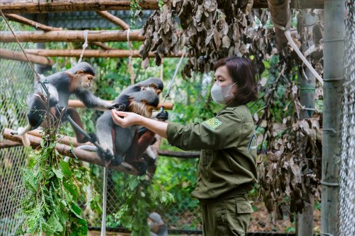 Gat Tour Hàng Ngày Ninh Bình NB5 (2N1Đ)