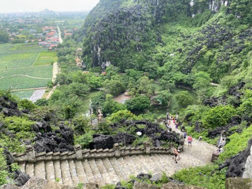 Excursion Hoa Lư Tràng An Hang Múa Ninh Bình (1Day)