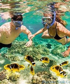 Du Ngoạn Vịnh Nha Trang (1N) - Image 2