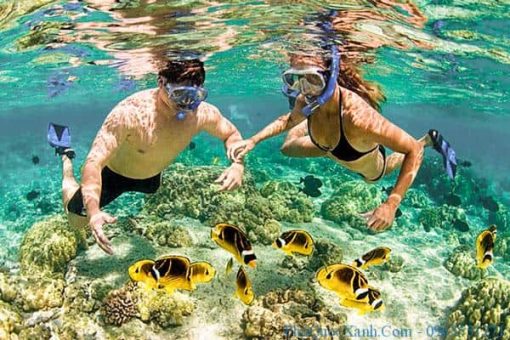 Du Ngoạn Vịnh Nha Trang (1N)