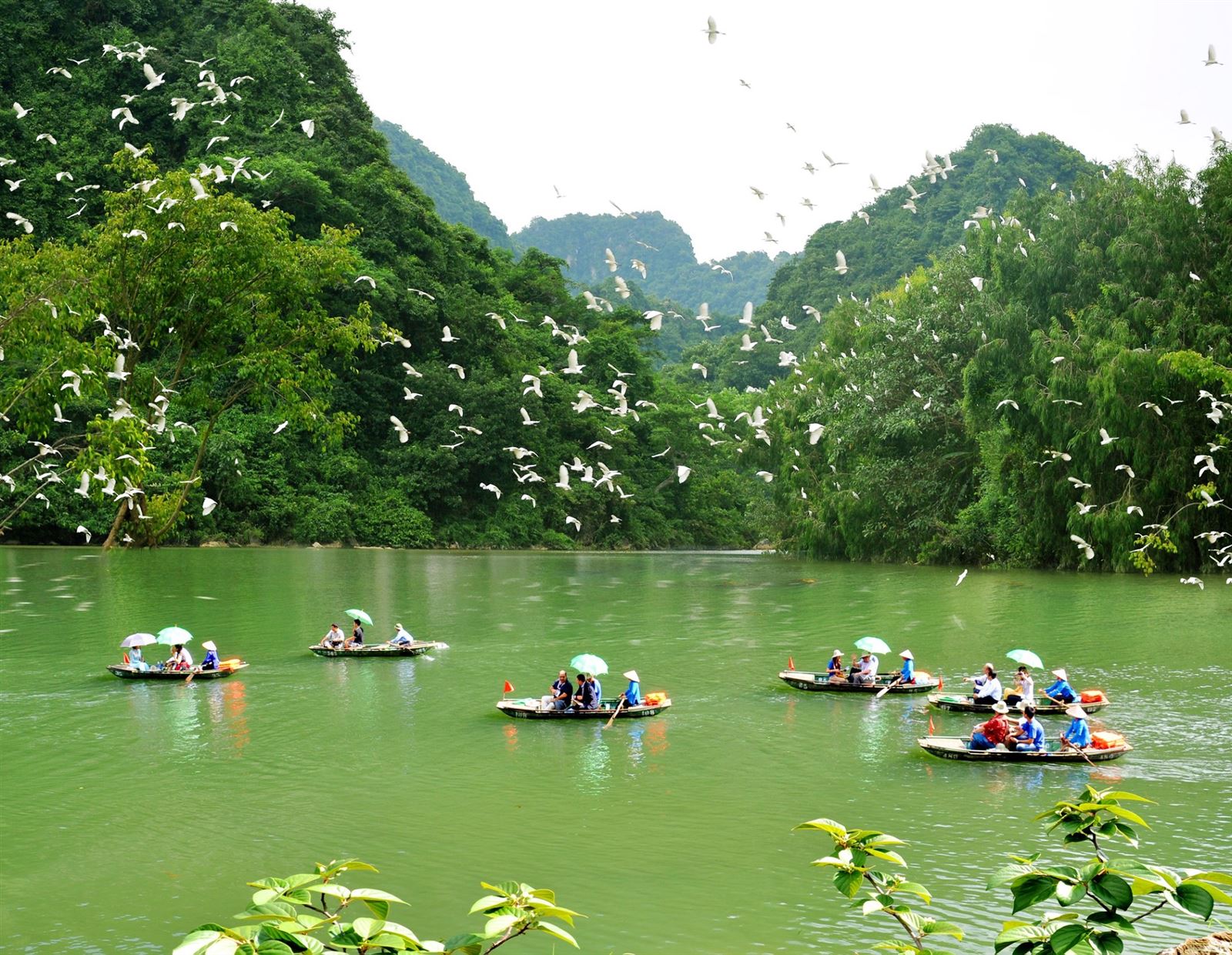 Gat Tour Hàng Ngày Ninh Bình (NB7)