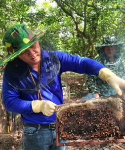 Tour Liên Tuyến: Địa Đạo Củ Chi - Mỹ Tho - Bến Tre (1N) - Image 1