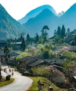 Lotus Ha Giang loop 4 days 3 nights tour - Homestay - Image 1