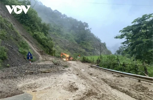 Tour Vườn Quốc gia Bạch Mã (2N1Đ)