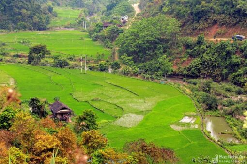 Tour Mỹ Tho - Bến Tre: Sông Nước Miền Tây (1N)