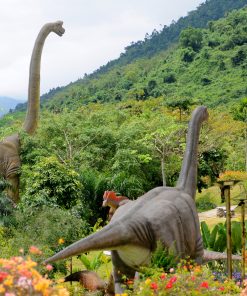 Tour Suối Khoáng Nóng Thần Tài (1N) - Image 5