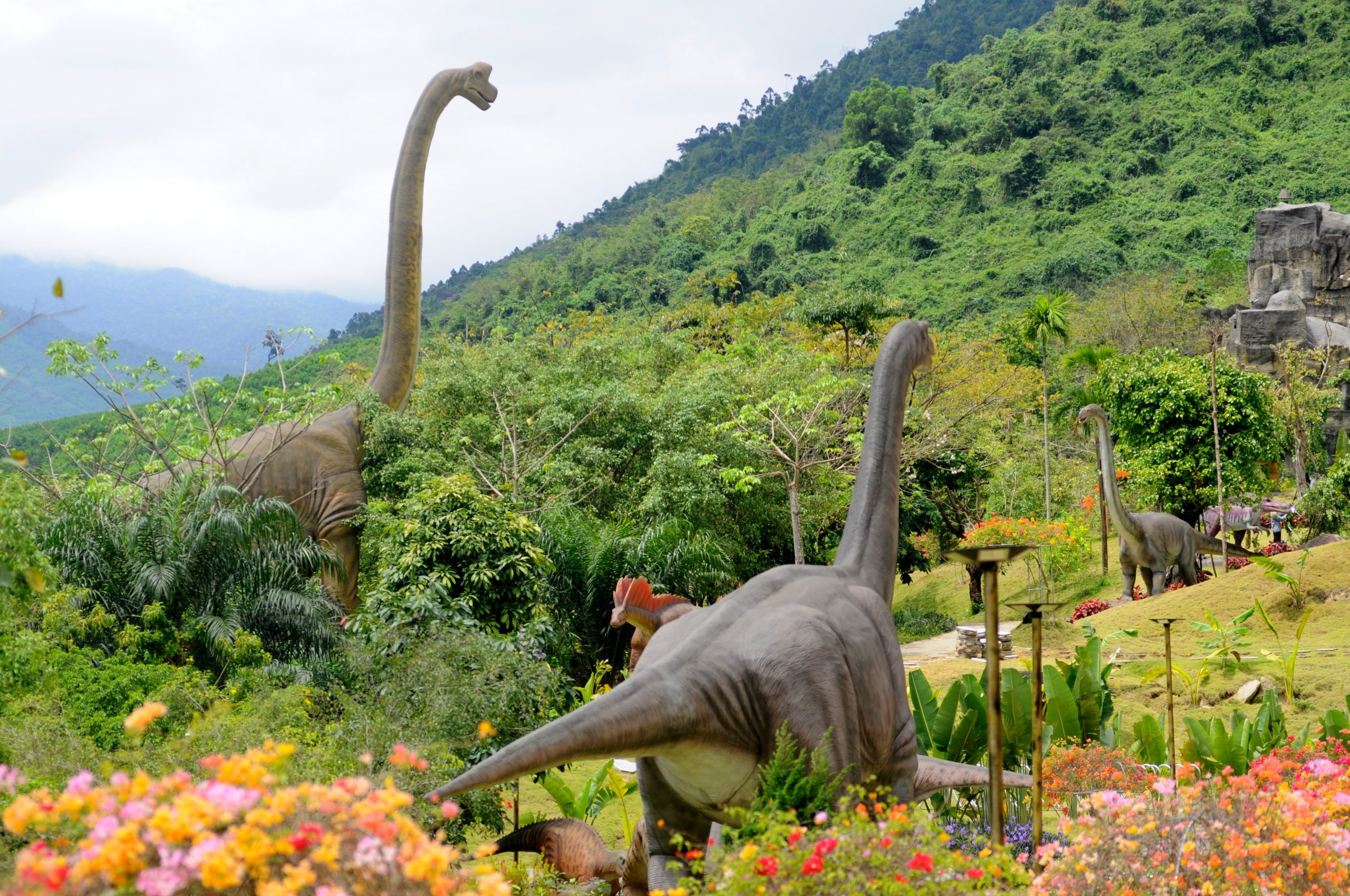 Tour Suối Khoáng Nóng Thần Tài (1N) - Image 5