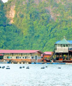 Tour Huế 1 Ngày Từ Đà Nẵng - Image 1