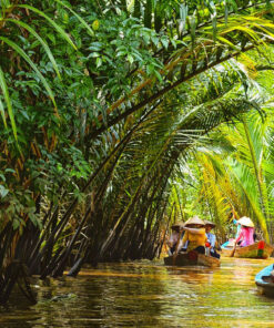 Tour Mekong Full Day (Small Group) - Image 2