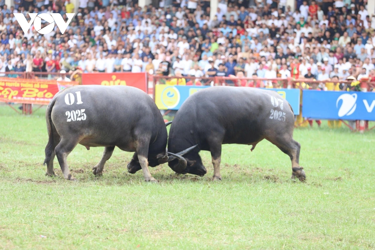 Tour Giao Lưu Văn Hóa Cồng Chiêng Tây Nguyên - Image 3