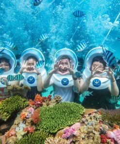 Tour Nha Trang - Checkin Vườn Nho - Image 4