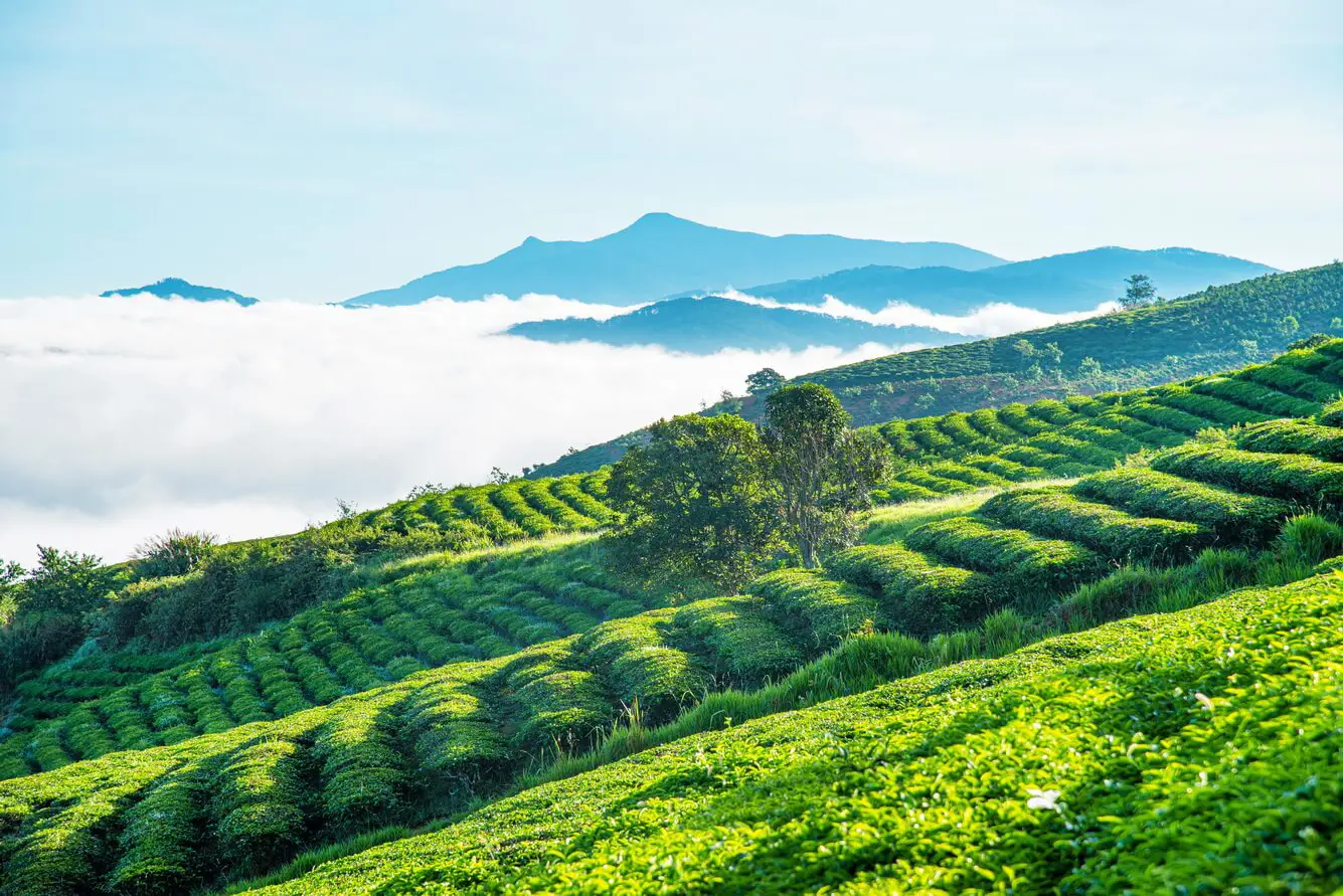 Da Lat