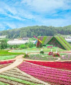 Tour Fresh Garden – Nhà Thờ Domaine – Miền Du Mục – Chùa Linh Phước – Tiệm Nướng Chuyến Tàu Hoàng Hôn - Image 1