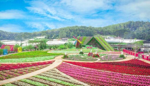 Tour Fresh Garden – Nhà Thờ Domaine – Miền Du Mục – Chùa Linh Phước – Tiệm Nướng Chuyến Tàu Hoàng Hôn