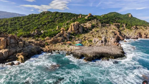 Tour Đồng Cừu – Hang Rái – Vườn Nho – Vĩnh Hy (1N)