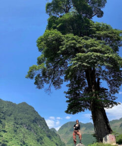 Lotus Ha Giang loop 3 days 2 nights tour - Homestay - Image 1