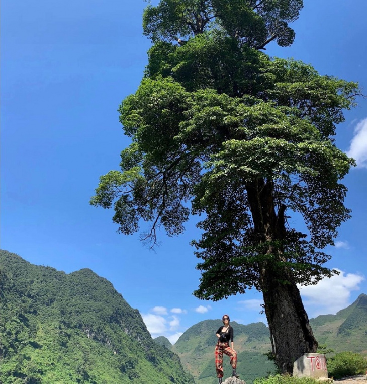 Lotus Ha Giang loop 3 days 2 nights tour - Homestay