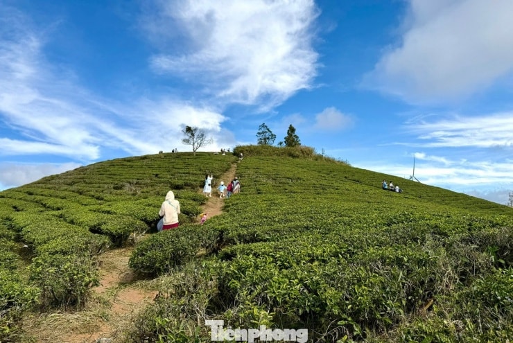 Tour Săn Mây Đà Lạt – Bình Minh Trên Cầu Đất - Image 4