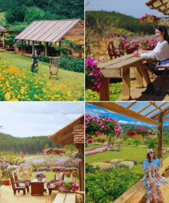 Tour Đà Lạt Full (4N3Đ) - Image 1