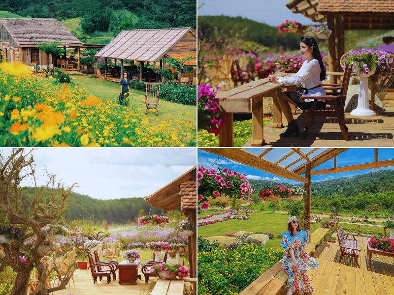 Tour Đà Lạt Full (4N3Đ)