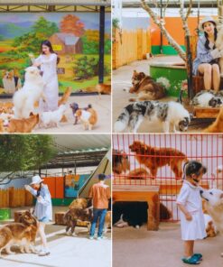 Tour Đà Lạt Full (3N2Đ) - Image 4