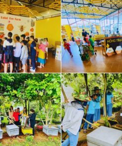 Tour The Florest Hoa Trong Rừng – Chùa Linh Ẩn – Cafe Thúy Thuận - Image 3